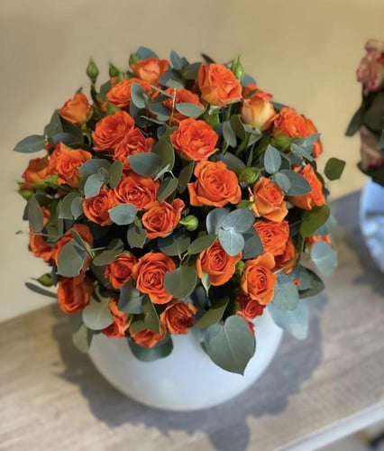 فازا مع البيبي روز