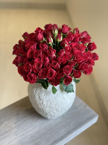 فازا 20 غصن بيبي روز