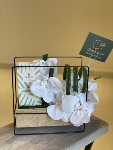 10 اغصان كازابلانكا