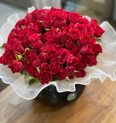 فازا 30 غصن بيبي روز