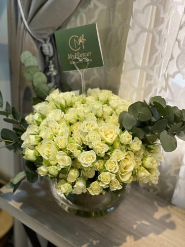 فازا روز و بيبي روز