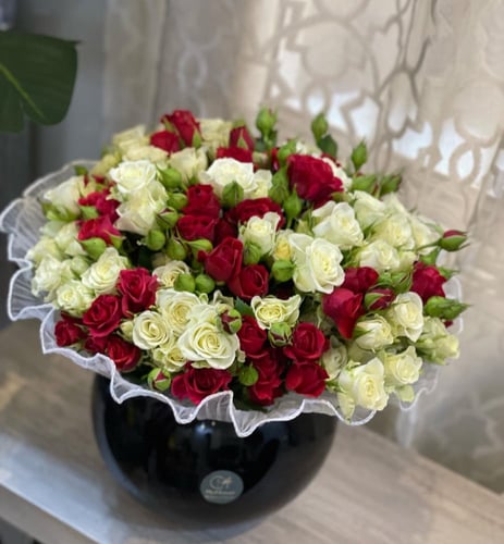 فازا 30 غصن بيبي روز