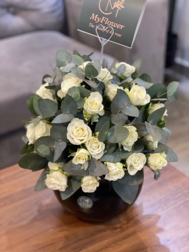 فازا مع البيبي روز