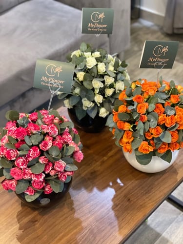 فازا مع البيبي روز