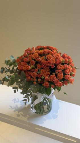 فازا 40 غصن بيبي روز