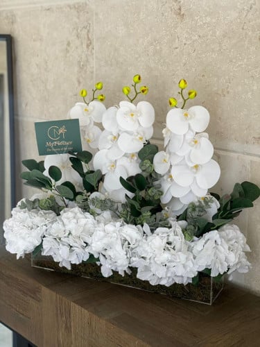 تنسيق أوركيد و هيدرنجا