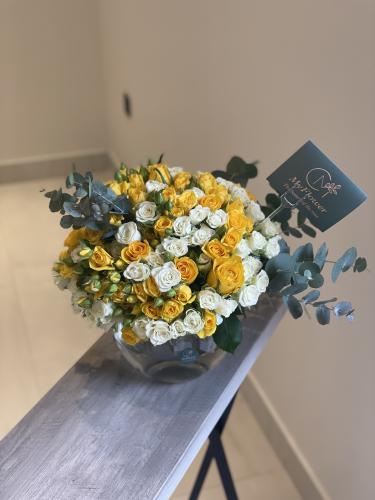 فازا روز و بيبي روز