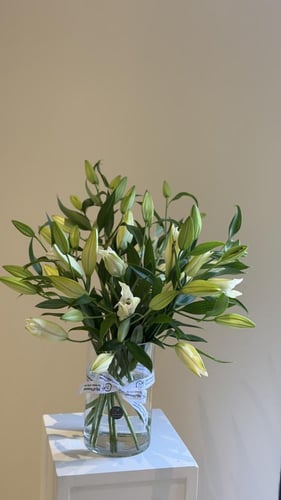 فازا 10 اغصان كازابلانكا