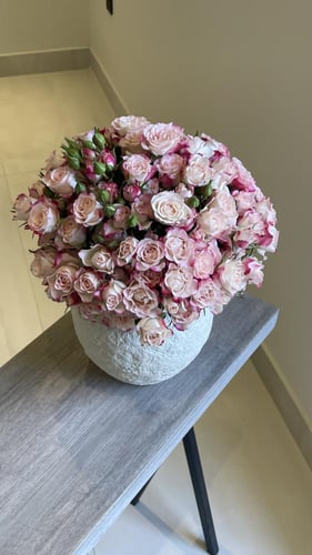 فازا 20 غصن بيبي روز