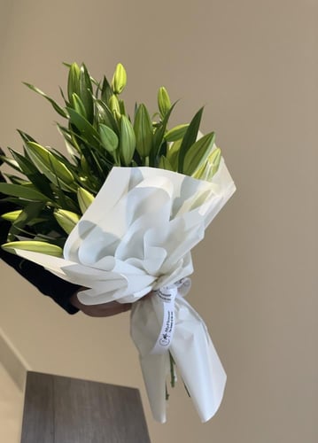 10 اغصان كازابلانكا