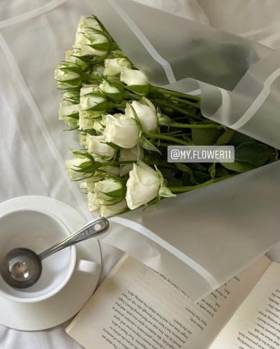 10 اغصان بيبي روز