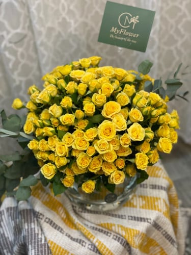 فازا 30 غصن بيبي روز