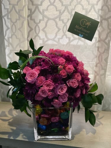 فازا ماكنتوش