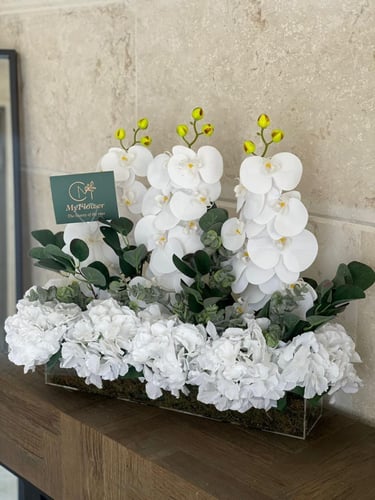 تنسيق أوركيد و هيدرنجا