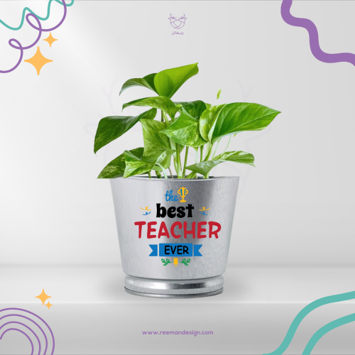 زرعة بوتس داخل علبة معدنية افضل معلم للابد