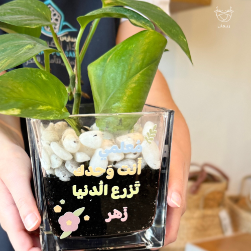 نبتة بوتس مع تصميم مخصص للمعلم | هدية مكتبية مميزة