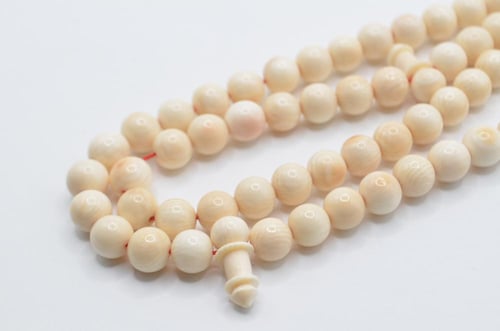 عاج ناب الفيل مميز