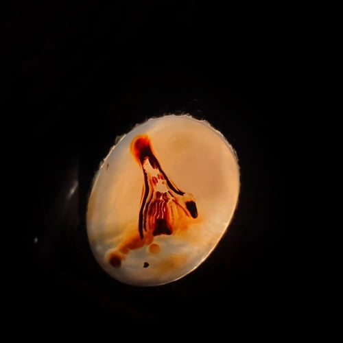 خاتم عقيق يماني مصور مقاس 11.25 انجليزي_ 26 عربي