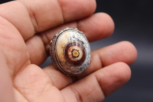 عقيق يماني داوودي عين الذيب حجم كبير مقاس 9.25 انج...