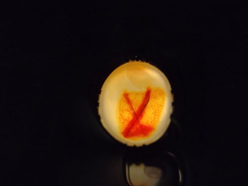 خاتم عقيق مصور مقاس 10.5 انجليزي _ 24 عربي