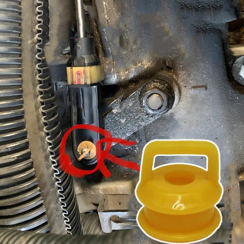 جلدة عصا قير - حبة واحده