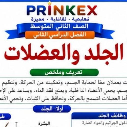 مطوية الجلد والعضلات مادة العلوم الصف الثاني متوسط...