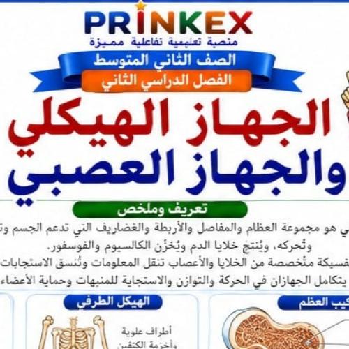 مطوية الجهاز الهيكلي والجهاز العصبي مادة العلوم ال...