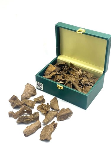 زوايا العود الفيتنامي طبيعي