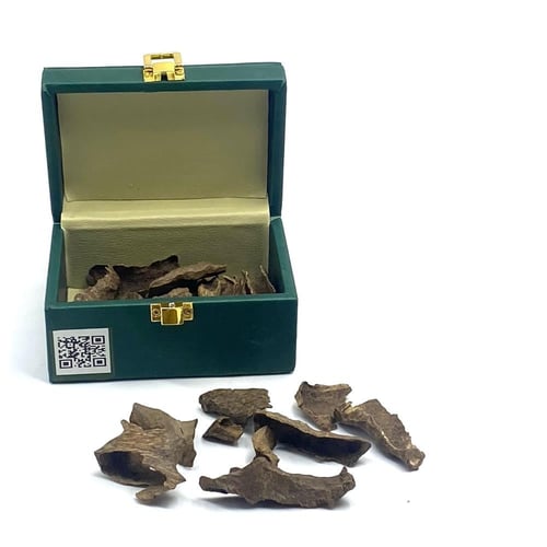 زوايا العود الفيتنامي طبيعي