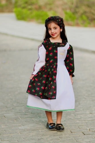 فستان شالكي بلونين أنيق