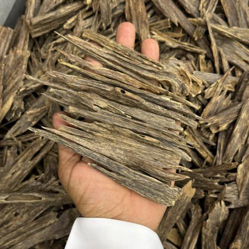 عود هندي نجلاند تربل