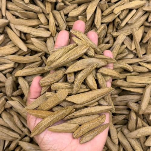 عود المجالس ارياني