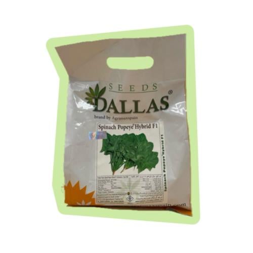 سبانخ باباي هجين F1 عبوة 1 كغم