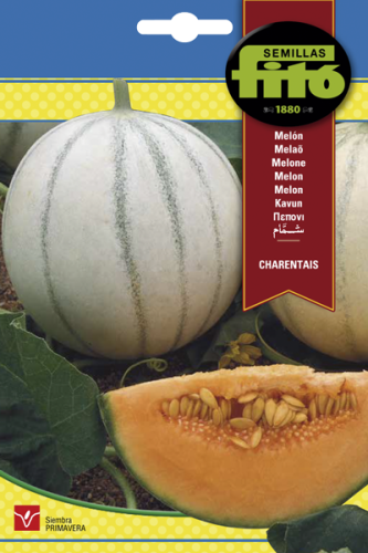 شمام جارانتيس باكت 10 غم