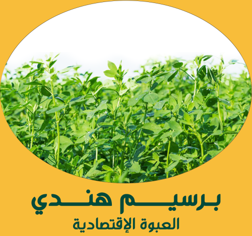 برسيم هندي ( العبوة الإقتصادية )