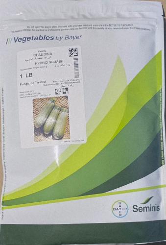 كوسة كلودينا - 1 ليبرة