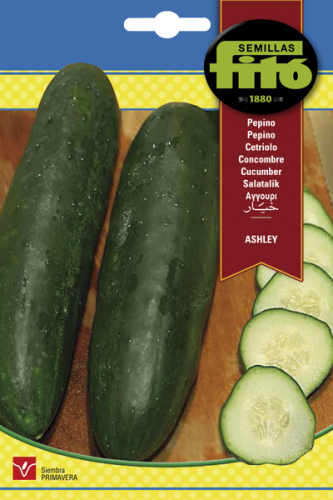 خيار أشلي باكت 10 غم