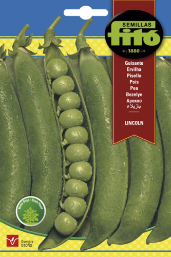 بازيليا لينكولن باكت 55 غم