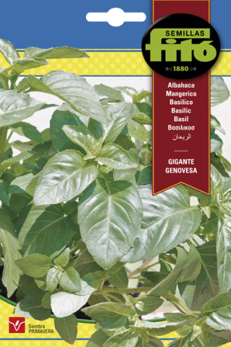 ريحان جنوفيزا باكت 3 غم