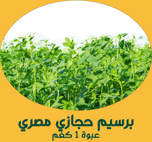برسيم حجازى مصري (أبو غزال) 1 كغم