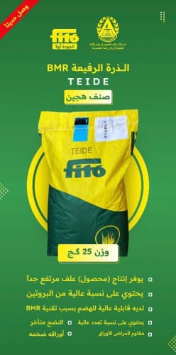 ذرة علفية BMR سورجم تيدي 25 كيلو