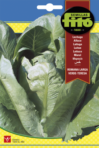 خس رومانا فيردي باكت 8 غم