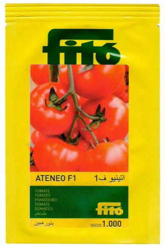 طماطم أتينيو F1 باكت 1000 بذرة