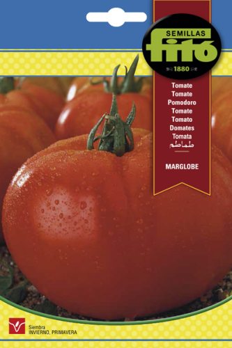 طماطم مارقلوب باكت 3 غم