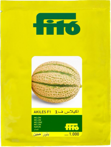 شمام اكيلاس F1- 1000 بذرة