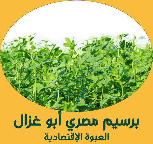 برسيم مصري أبو غزال ( العبوة الإقتصادية )