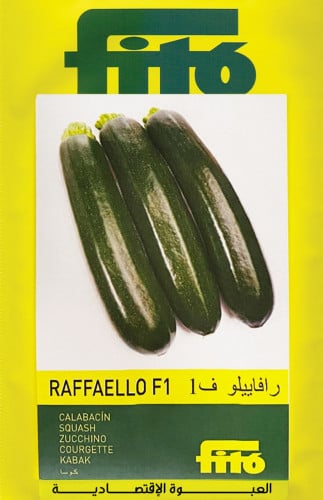 كوسة رافاييلو F1 ا العبوة الإقتصادية