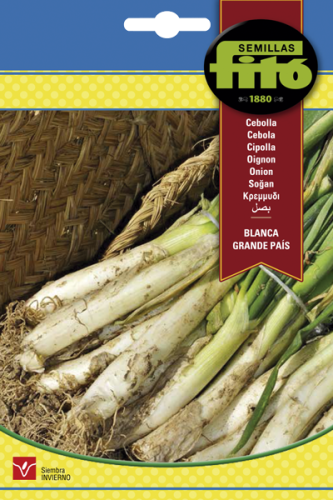 بصل اخضر جراندي بيس باكت 7 غم