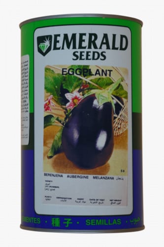 باذنجان بلاك بيوتى 400 غم امريكي - ايميرالد