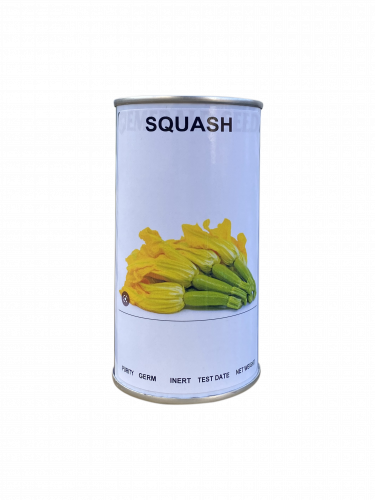 كوسة ليبينيز امريكي علبة 50 غم - ايميرالد